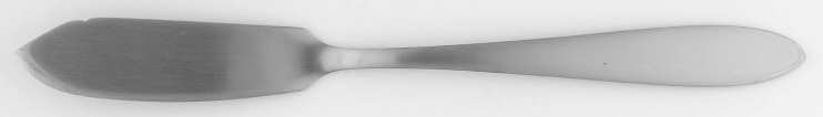 Taylor (Stainless) Flat Handle Master Butter Knife