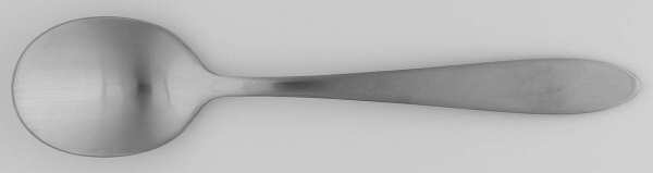 Taylor (Stainless) Sugar Spoon