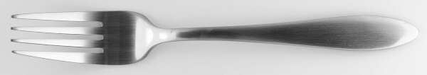 Taylor (Stainless) Fork