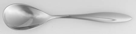 Asteria (Stainless) Sugar Spoon