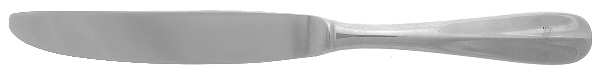 Bague (Stainless) Modern Solid Knife