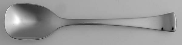 Perch (Stainless) Sugar Spoon