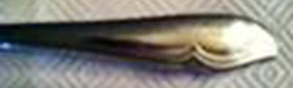OHS391 (Stainless) by Oneida Silver