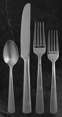 Aptitude (Stainless) 4 Piece Place Setting