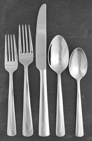 Aptitude (Stainless) 5 Piece Place Setting