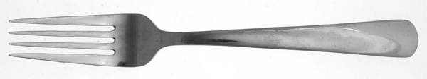 Aptitude (Stainless) Fork