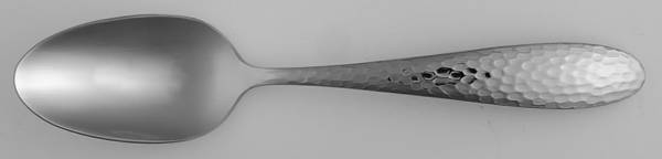 Reyna (Stainless) Teaspoon