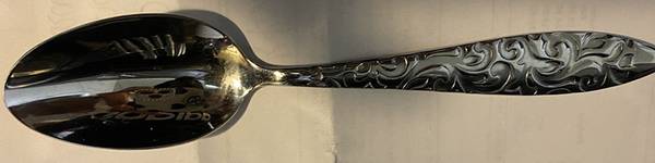 Isadoura (Stainless) Teaspoon