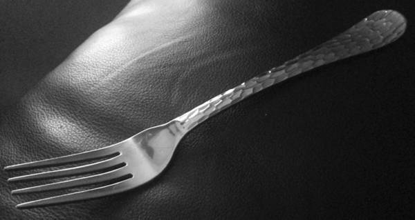 OHS410 (Stainless) Fork