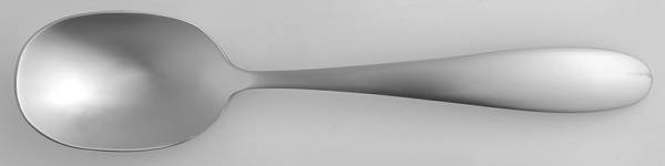 Landon (Stainless) Sugar Spoon