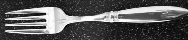 OHS419 (Stainless) by Oneida Silver