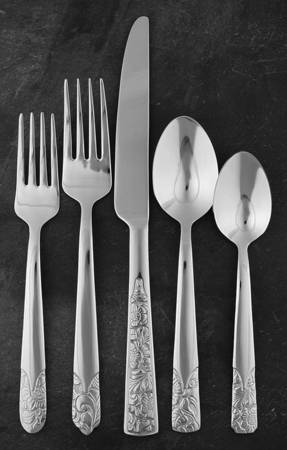 Durango (Stainless) 5 Piece Place Setting