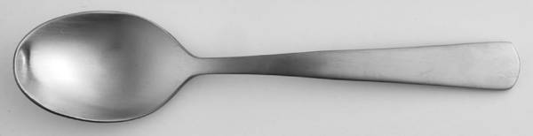 Anderson (Stainless) Sugar Shell Spoon