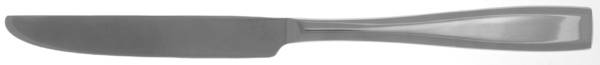 Continuim (Stainless) New French Solid Knife
