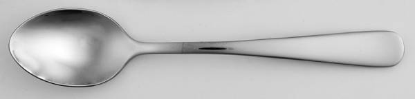 Chapman Mirror (Stainless) Teaspoon