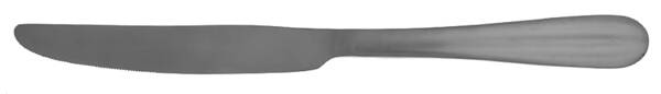Satin Casson (Stainless) New French Solid Knife