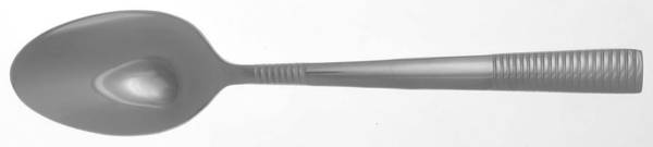 Paxton (Stainless) Teaspoon
