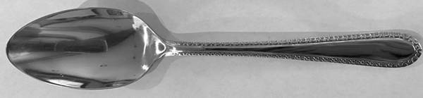OHS495 (Stainless) by Oneida Silver