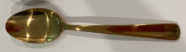 Aptitude Champagne Satin by Oneida Silver