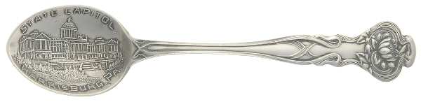 Pond Lily (Sterling, 1900) Souvenir Spoon (Demitasse)
