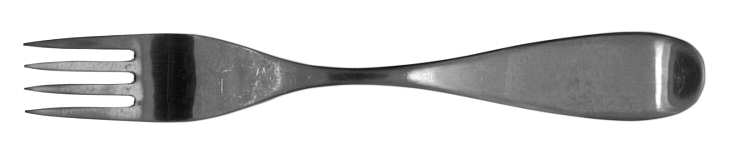 Octo (Stainless) Fork