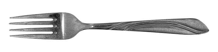Timeless (Stainless) Fork