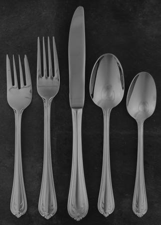 Ansonia (Stainless) 5 Piece Place Setting