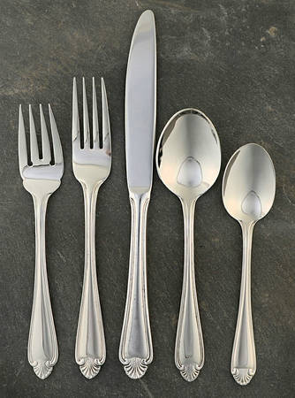 Biscayne (Stainless) 5 Piece Place Setting