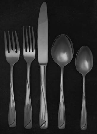 Echo (Stainless) 5 Piece Place Setting