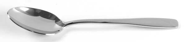 Echo (Stainless) Teaspoon
