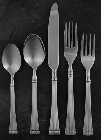 Schematics (Stainless) 5 Piece Place Setting