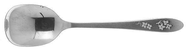 PSS5 (STAINLESS, DECO ETCHED) Sugar Spoon