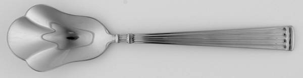 Sugar Shell Spoon