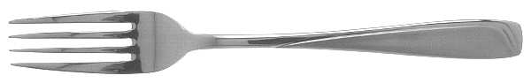 Satin Echo Fork
