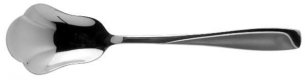 Satin Echo Sugar Shell Spoon