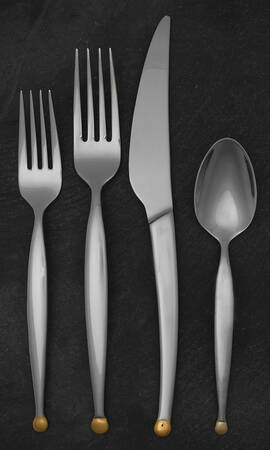 PII5 (Stainless) 4 Piece Place Setting