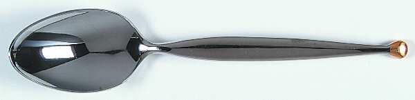 PII5 (Stainless) Teaspoon
