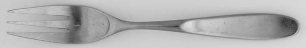 PTC4 (Stainless) Fork