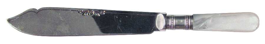 Flatware (Plated Bolster) Individual Fish Knife with Silverplate Blade