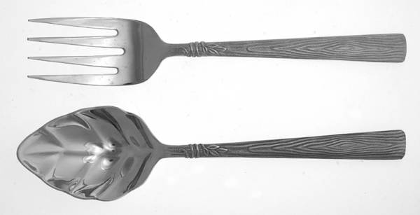 Naturewood (Stainless) Solid Serving Set by Pfaltzgraff
