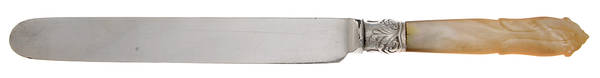 Flatware (Plated Bolster) Blunt Hollow Knife