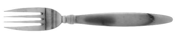 Satin Raleigh (Stainless) Fork