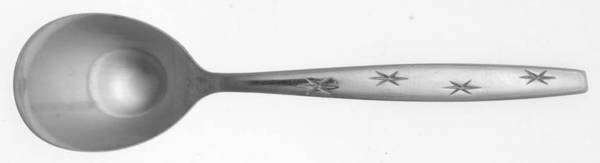 PTC5 (STAINLESS) Sugar Spoon