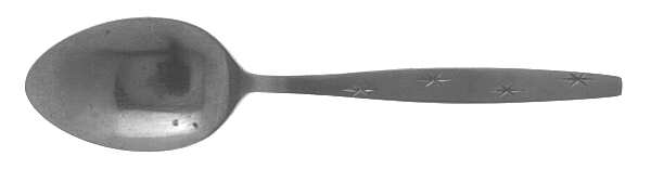 PTC5 (STAINLESS) Teaspoon