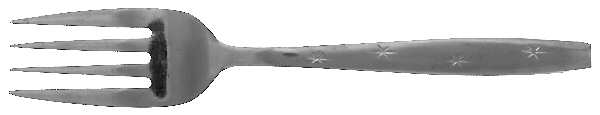 PTC5 (STAINLESS) Individual Salad Fork