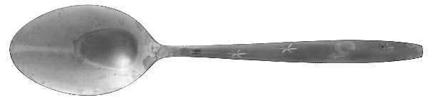 PTC5 (STAINLESS) Tablespoon (Serving Spoon)