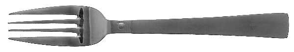 Satin Spencer (Stainless) Individual Salad Fork