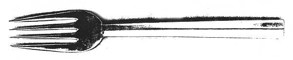 PFF12 Fork