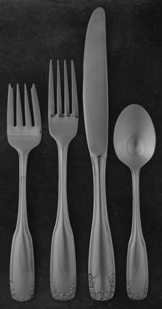 PFF15 (Stainless) 4 Piece Place Setting