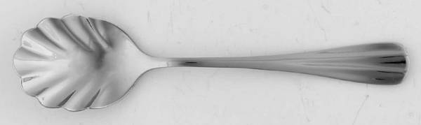 Sugar Shell Spoon